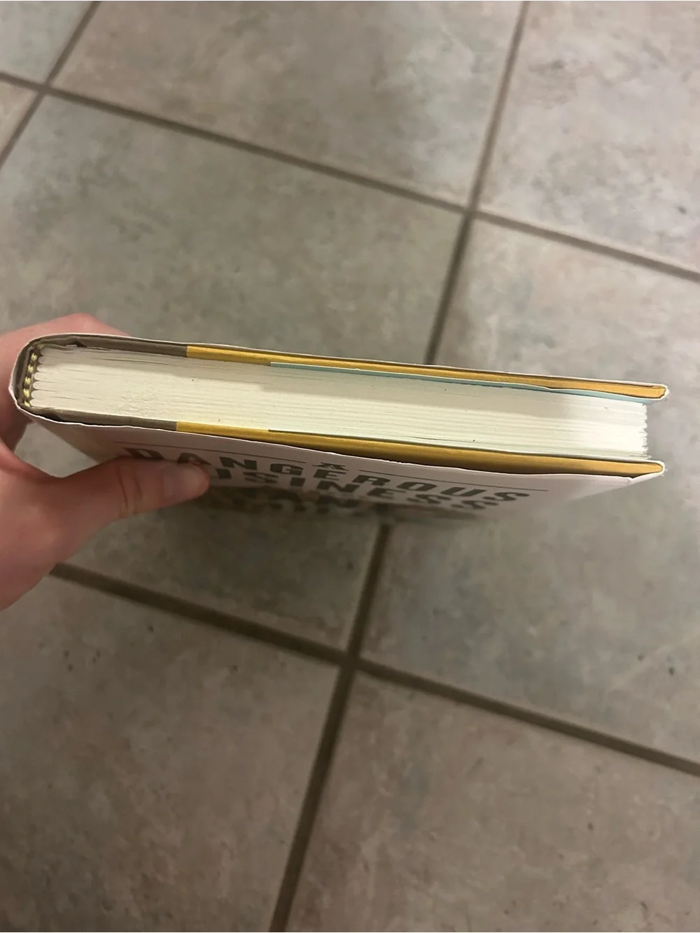 A Dangerous Business by - Hardcover Novel (Green, Black)